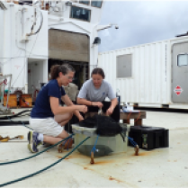 Figure 6: Setting up oxygen change experiments in a mini “ocean” on deck.