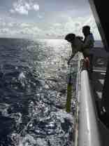 Jay, Kristy, and Denis are deploying an APEX Argo float from the NOAA Ship "Ronald H. Brown".