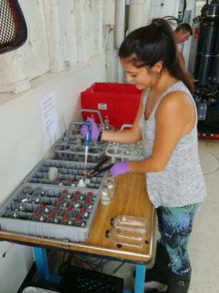 Carmen adding mercuric chloride to pH samples